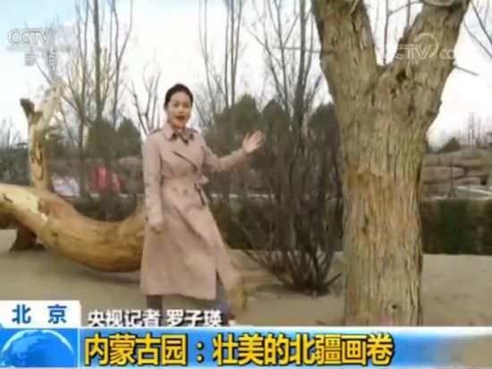 【魅力世園會】內(nèi)蒙古園:壯美的北疆畫卷