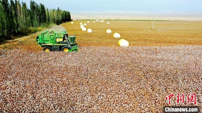 近年來(lái)，當(dāng)?shù)孛藁ǚN植戶(hù)的生產(chǎn)生活發(fā)生了翻天覆地的變化?！《?攝