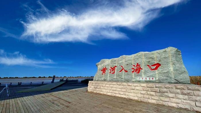 △黃河入?？谖挥谏綎|東營市墾利區(qū)。(總臺(tái)央視記者彭漢明拍攝)