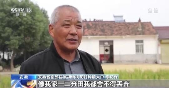 十八連豐！秋收近九成 我國糧食產(chǎn)能穩(wěn)步提升