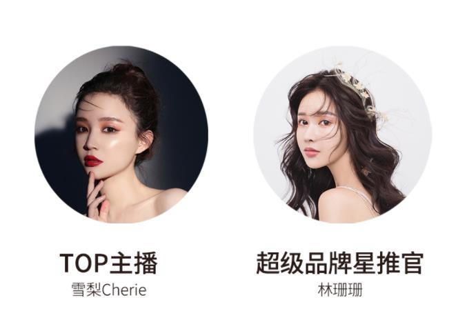 宸帆電商官網(wǎng)截圖。