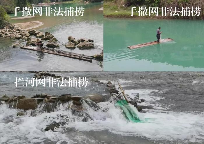 2021年9—10月，前期暗查發(fā)現(xiàn)，保護(hù)區(qū)核心區(qū)內(nèi)非法捕撈行為十分猖獗