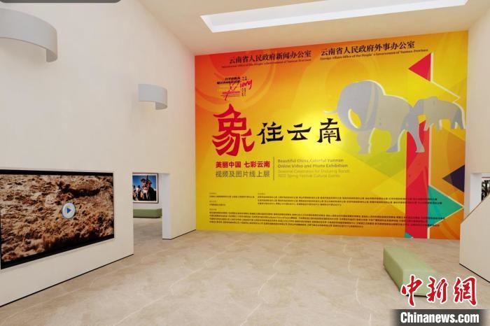 圖為“象”往云南——美麗中國 七彩云南視頻及圖片線上展截圖?！『h航 攝