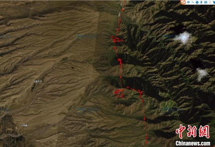 圖為雪豹故地重游來(lái)到放歸地的足跡?！?nèi)蒙古賀蘭山國(guó)家級(jí)自然保護(hù)區(qū)供圖