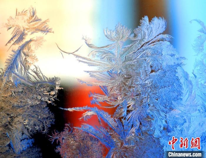 冰窗花千姿百態(tài)?！O書(shū)程 攝