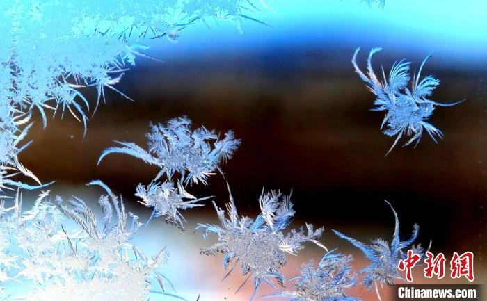 玉樹(shù)瓊枝盈滿窗。　孫書(shū)程 攝