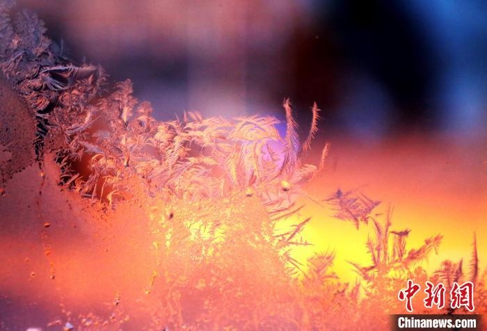 迎著光亮，冰窗花絢麗多姿。　孫書(shū)程 攝