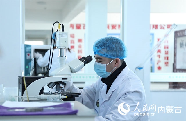 內(nèi)蒙古中農(nóng)興安種?？萍加邢薰韭鋺艨朴抑衅欤瑸槿馀．a(chǎn)業(yè)發(fā)展提供了優(yōu)質(zhì)的種源保障。白俊華攝