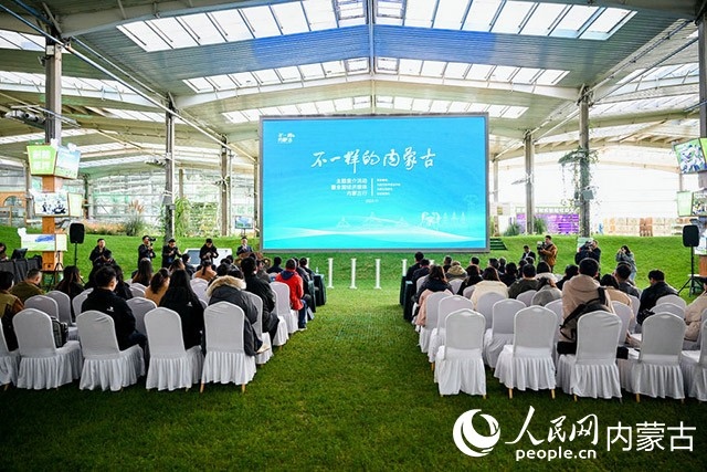 啟動儀式現(xiàn)場。主辦方供圖