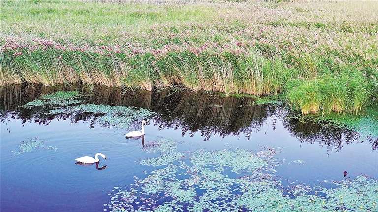 1633403229976909.jpg 1798804_wt_1633359032593_s.jpg