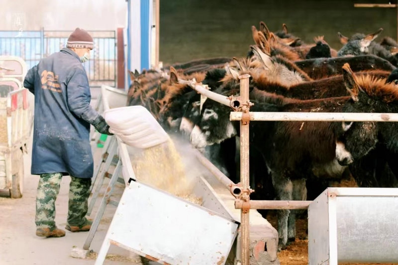 1650554808117674.jpg 微信圖片_20220421232502.jpg