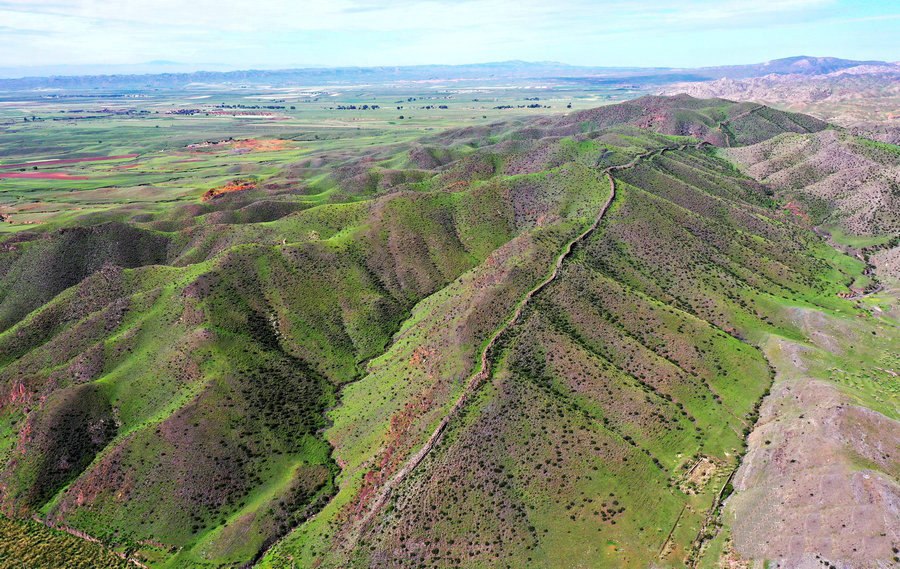 1692155393288269.jpg 1663521300129435.jpg