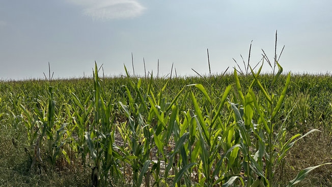 1695024543136462.jpg 7.jpg