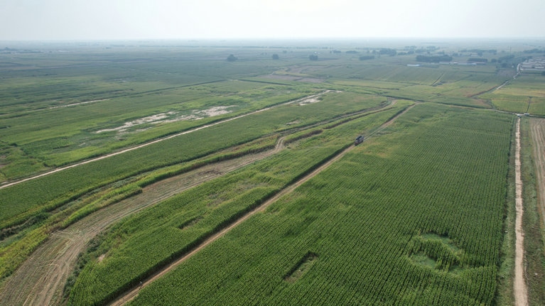 1695024681117679.jpg 1.jpg