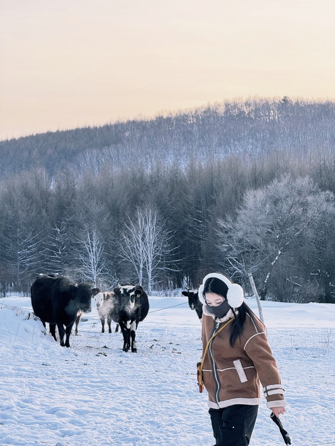 1704529051811493.jpg 005.jpg