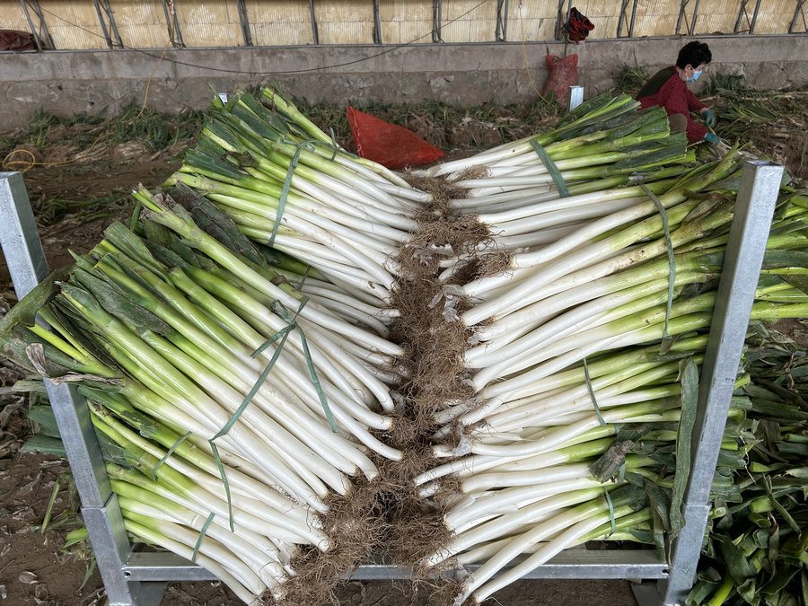 1712636466907970.jpg 9職業(yè)病防治醫(yī)院.jpg