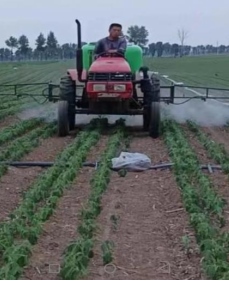 1726936537614924.png 圖片4.png