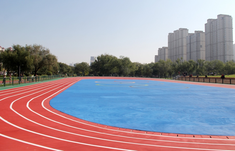 1728378600524342.png 01e87609dc7bf9a79d080c384c81fa53.png