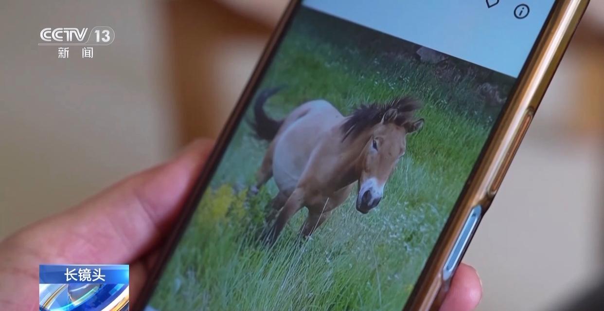 1772594388657181.jpg 011.jpg