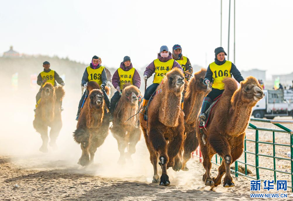 3月7日，賽駝手在6000米成年駱駝場(chǎng)地速度賽比賽中。.jpg