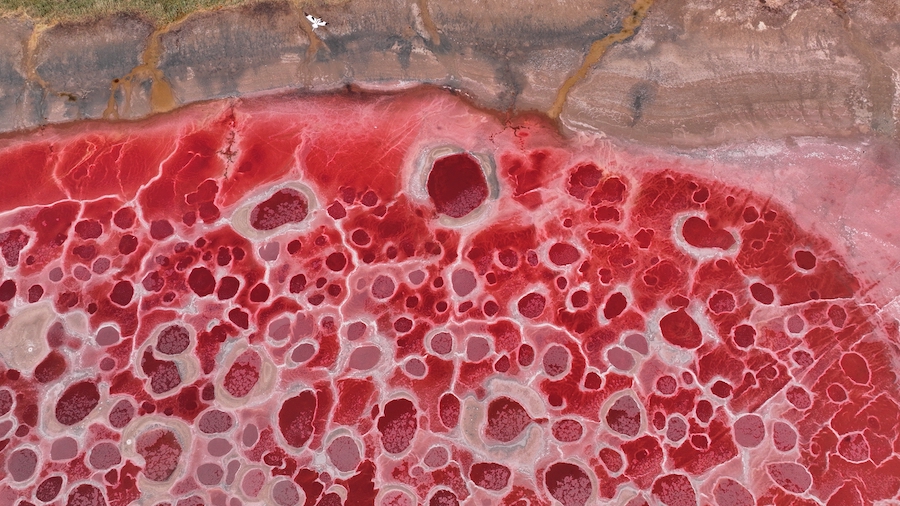 1773495423108168.jpg 朝寶拍攝 (3).jpg