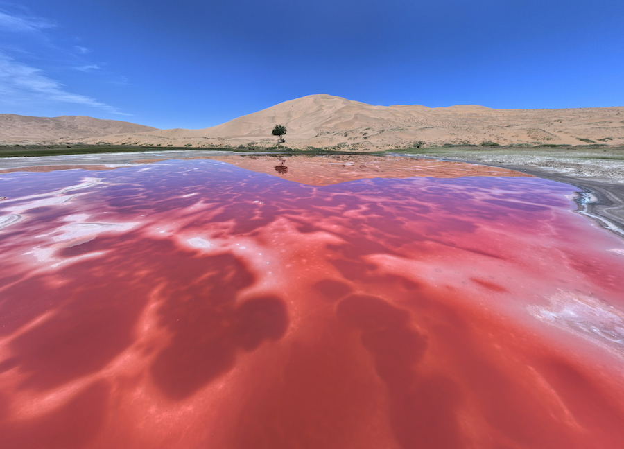 1773495467136625.jpg 張樂(lè)元 (1).jpg