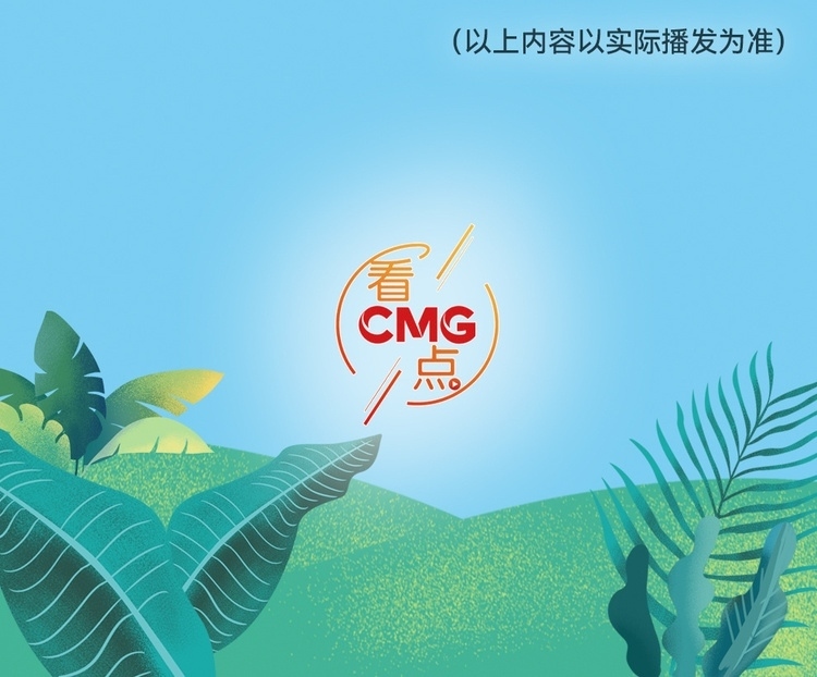 總臺周看點(diǎn)，來了！