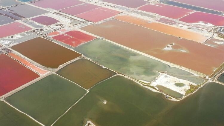 鑒往知來(lái)，跟著總書(shū)記學(xué)歷史丨走進(jìn)一座博物館，尋根五千年中華文明