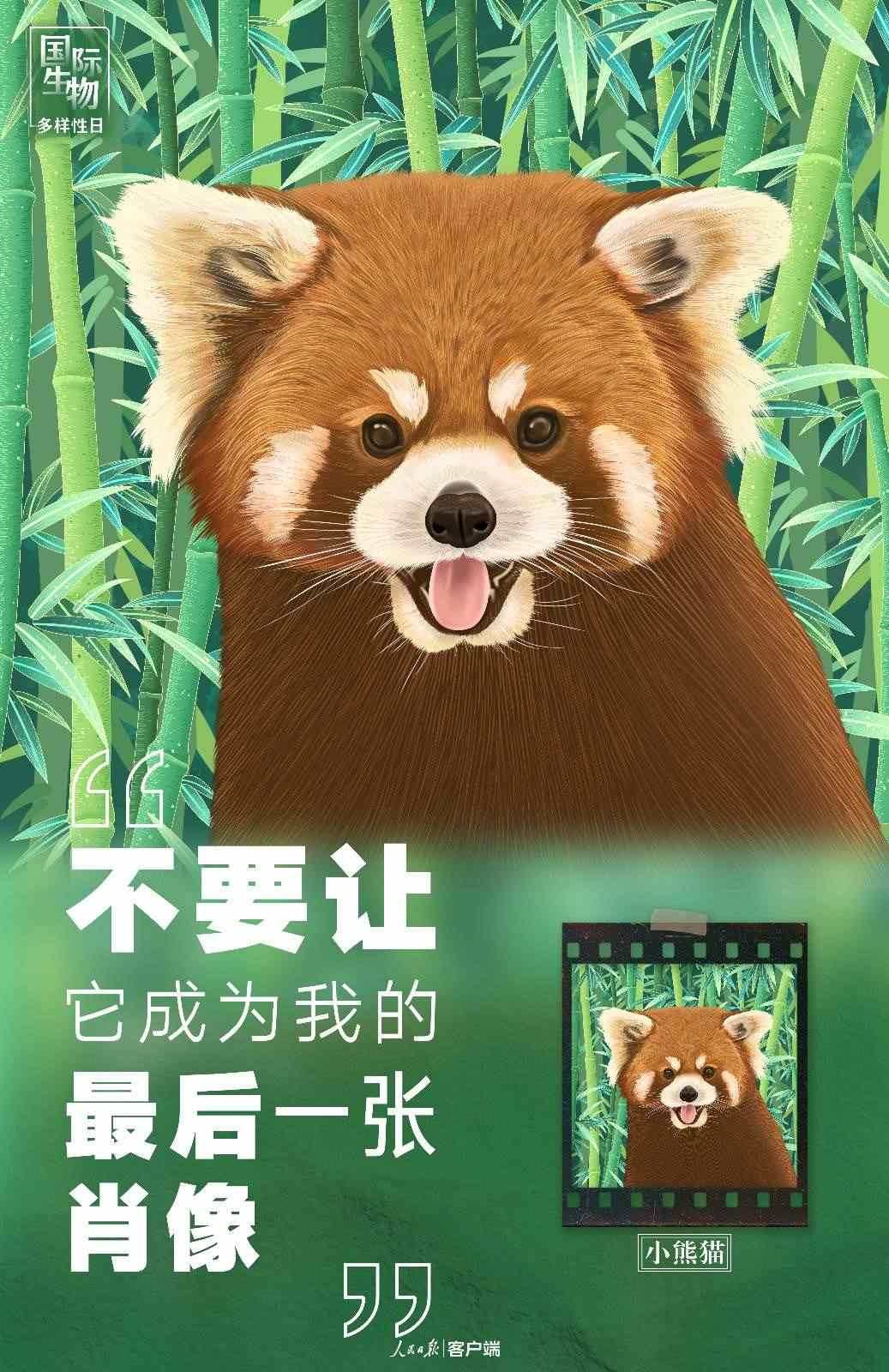 “不要讓它成為我的最后一張肖像”