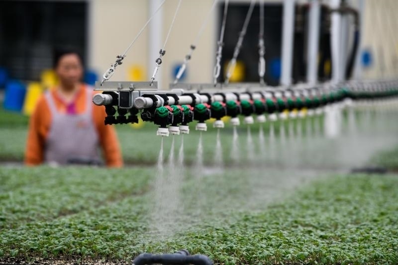 工人在貴陽(yáng)市開(kāi)陽(yáng)縣楠木渡蔬菜良種繁育中心查看自動(dòng)噴灌系統(tǒng)給辣椒苗澆水情況（2023年5月24日攝）。新華社記者 楊文斌 攝
