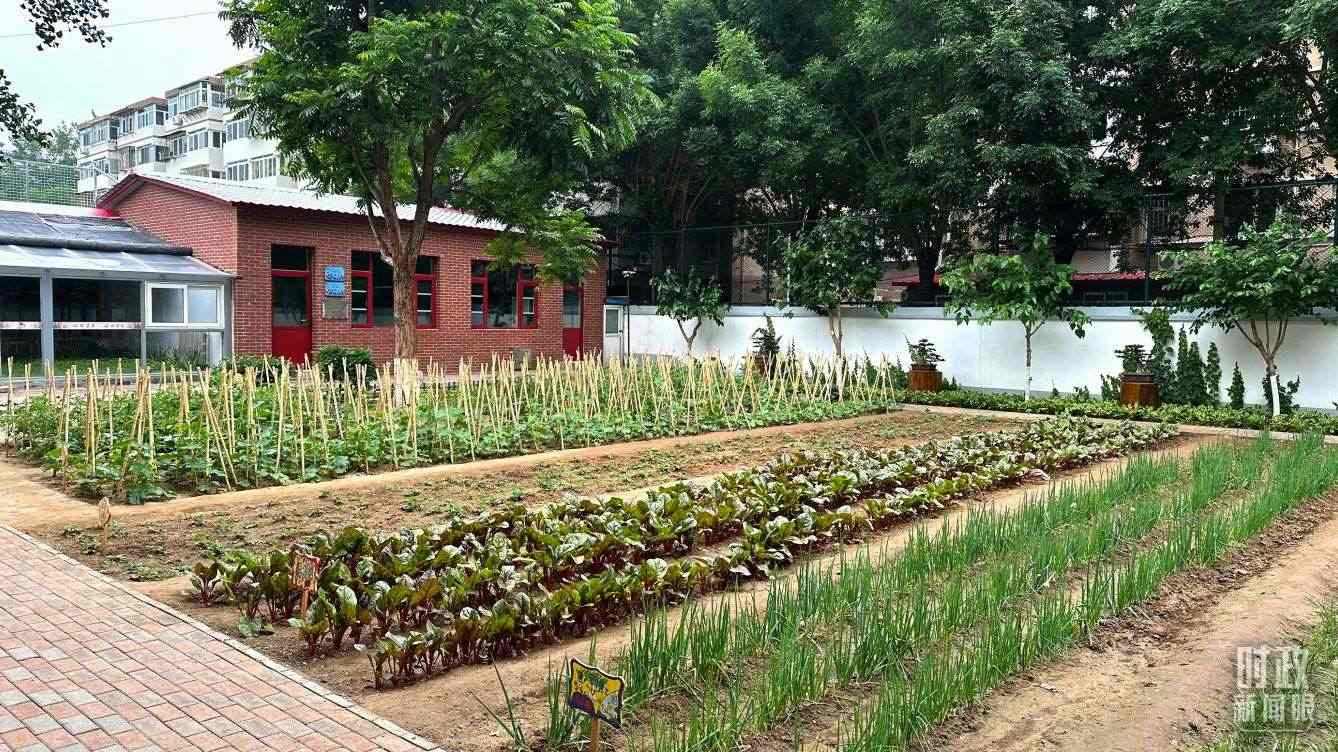 △學(xué)生農(nóng)場。（總臺央視記者趙化拍攝）