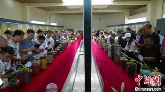 圖為活動(dòng)現(xiàn)場(chǎng)。 云南省委臺(tái)辦供圖