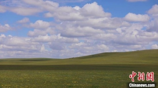 圖為點(diǎn)點(diǎn)新綠在原野上蓄勢(shì)待發(fā)。 歐戈 攝