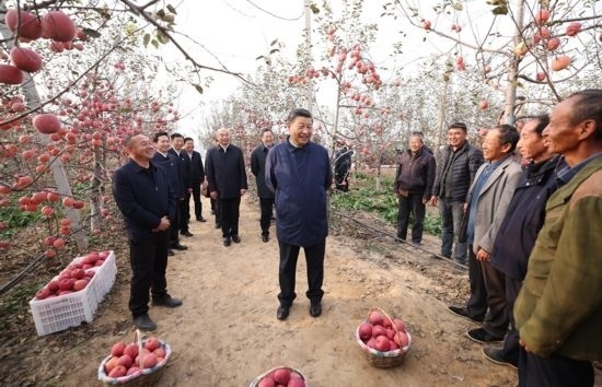 2022年10月26日，習(xí)近平總書記在陜西省延安市安塞區(qū)高橋鎮(zhèn)南溝村蘋果園同老鄉(xiāng)們親切交流。