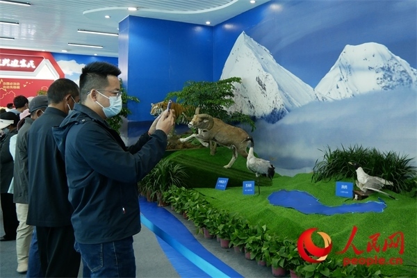 6月17日，觀眾正在觀展。人民網(wǎng) 韋衍行攝