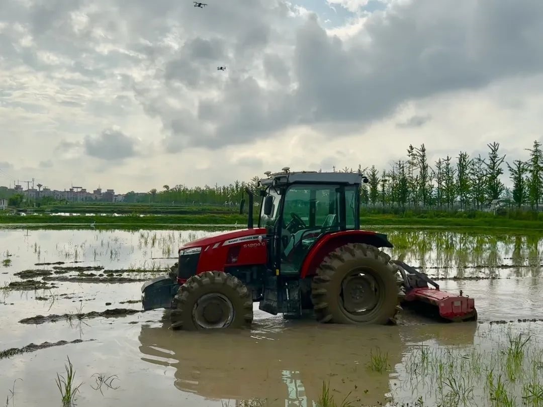 浙江省金華市東陽市城東街道寀盧村的一臺(tái)無人駕駛耕地機(jī)。靜玄 攝