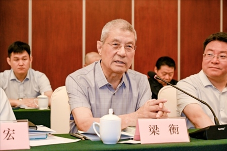 中國林業(yè)生態(tài)作家協(xié)會名譽(yù)主席梁衡發(fā)言。主辦方供圖