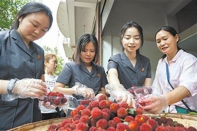志愿者和村民一起將摘下的楊梅裝進(jìn)食品盒里。