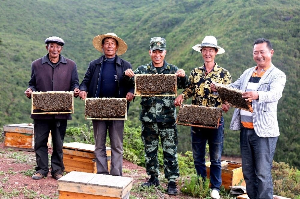 ↑武警四川總隊涼山支隊精準幫扶昭覺縣梭梭拉打村發(fā)展養(yǎng)蜂產(chǎn)業(yè)，總隊駐村扶貧干部布哈（中）和村民一同展示豐收成果（2019年6月12日攝）。新華社發(fā)（楊劍 攝）