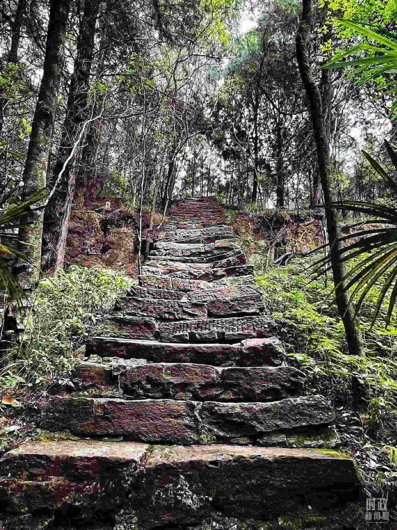 △古蜀道。（總臺央視記者郭曉龍拍攝）