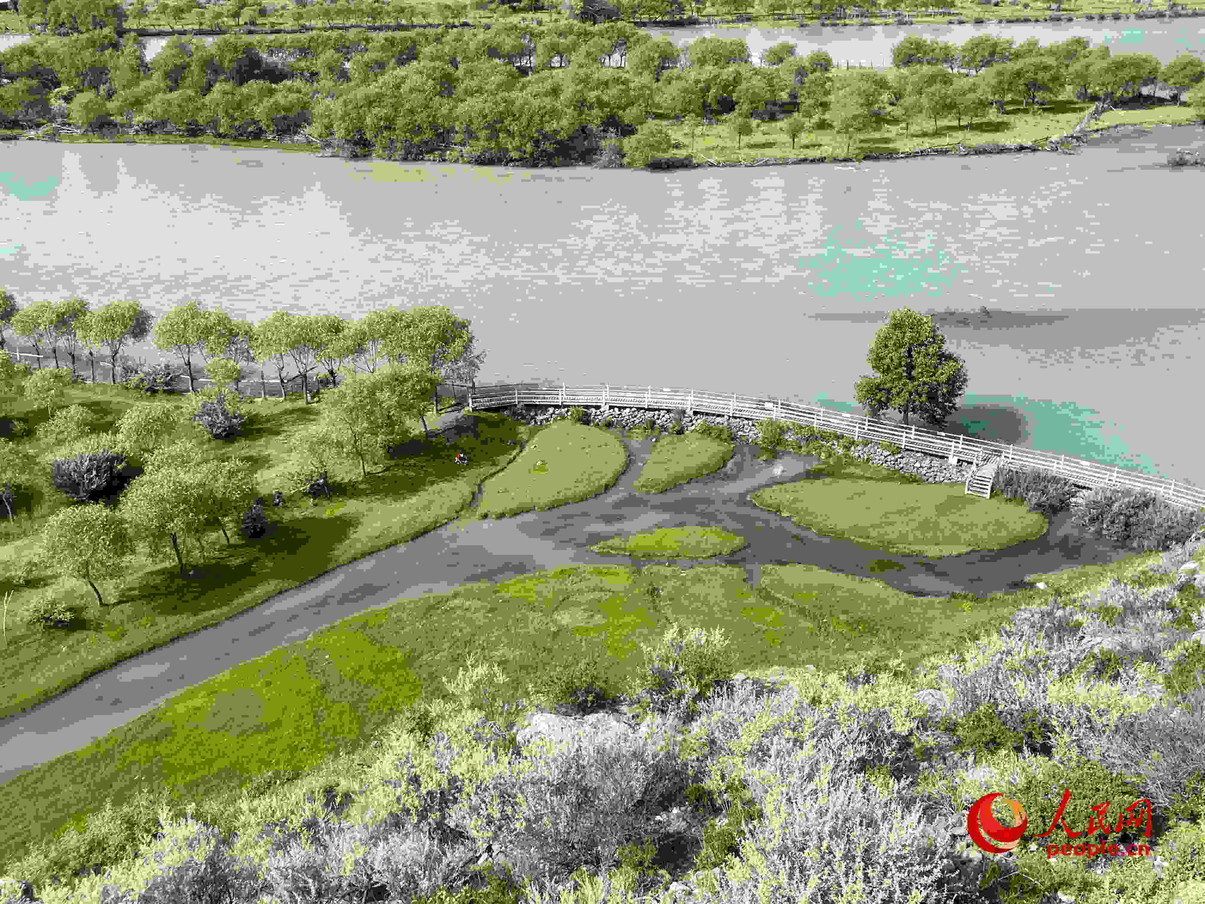 夏日的雅尼國家濕地公園生機(jī)盎然，如詩如畫。人民網(wǎng) 周靜圓攝