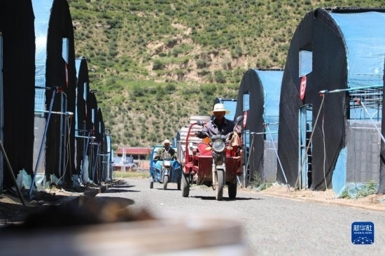 7月29日，農(nóng)戶在卓尼縣納浪鎮(zhèn)納浪村黑木耳種植基地勞作。