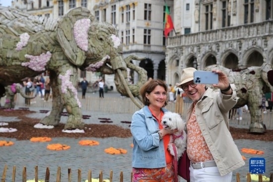 8月11日，觀眾在比利時(shí)布魯塞爾“鮮花時(shí)光”展覽上拍照。新華社記者 趙丁喆攝