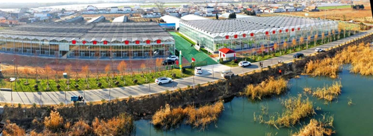 白樓灣三產(chǎn)融合發(fā)展。宋道森攝