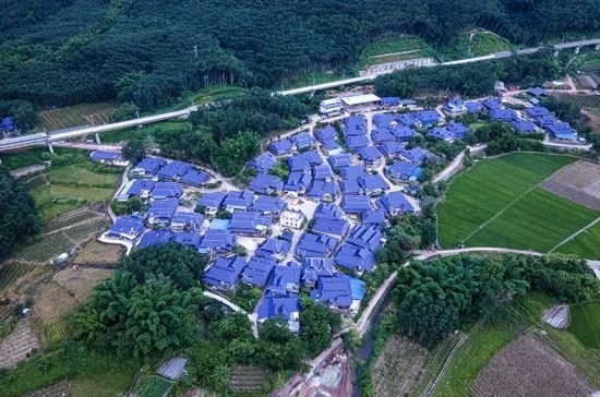 磨憨鎮(zhèn)曼莊村大龍哈小組現(xiàn)代化邊境幸福村新貌。人民網(wǎng)記者 符皓攝