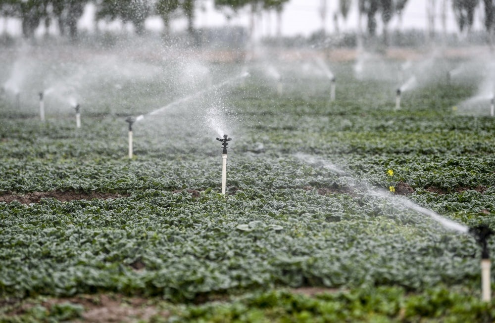 2023年5月25日，在寧夏銀川市永寧縣望洪鎮(zhèn)宋澄村冷涼蔬菜種植基地，小型噴灌節(jié)水設(shè)備在進(jìn)行噴灌作業(yè)。新華社記者 馮開華 攝