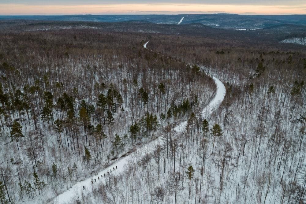 △2023年1月，漠河林場數(shù)十名職工自發(fā)組成的森林撫育隊伍，在人跡罕至的山林中作業(yè)。