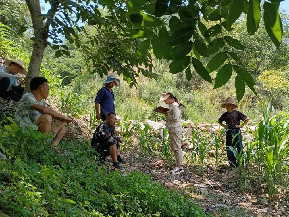 2023年7月18日，兩家村民發(fā)生土地方面的糾紛，李江女（右二）在記錄情況。受訪者供圖