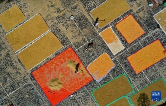 9月16日，貴州省黔東南苗族侗族自治州丹寨縣南皋鄉(xiāng)石橋村村民在晾曬農(nóng)作物（無人機照片）。
