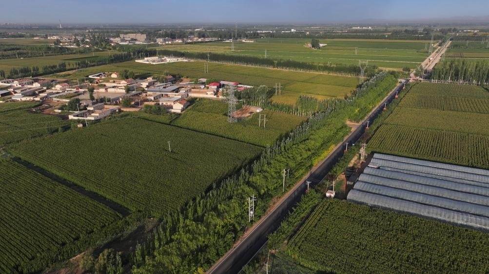 東興村周邊建起防護林網(wǎng)（無人機照片，2023年9月12日攝）。新華社記者李云平 攝